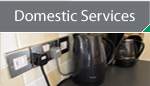 Domestic Services